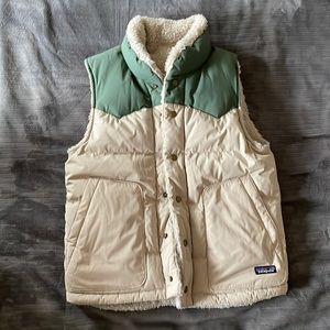 Patagonia Men's Reversible Bivy Down Vest